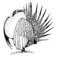 Grouse Logo