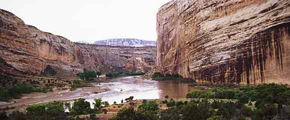 Of Tiger Walls and Canyon Wrens