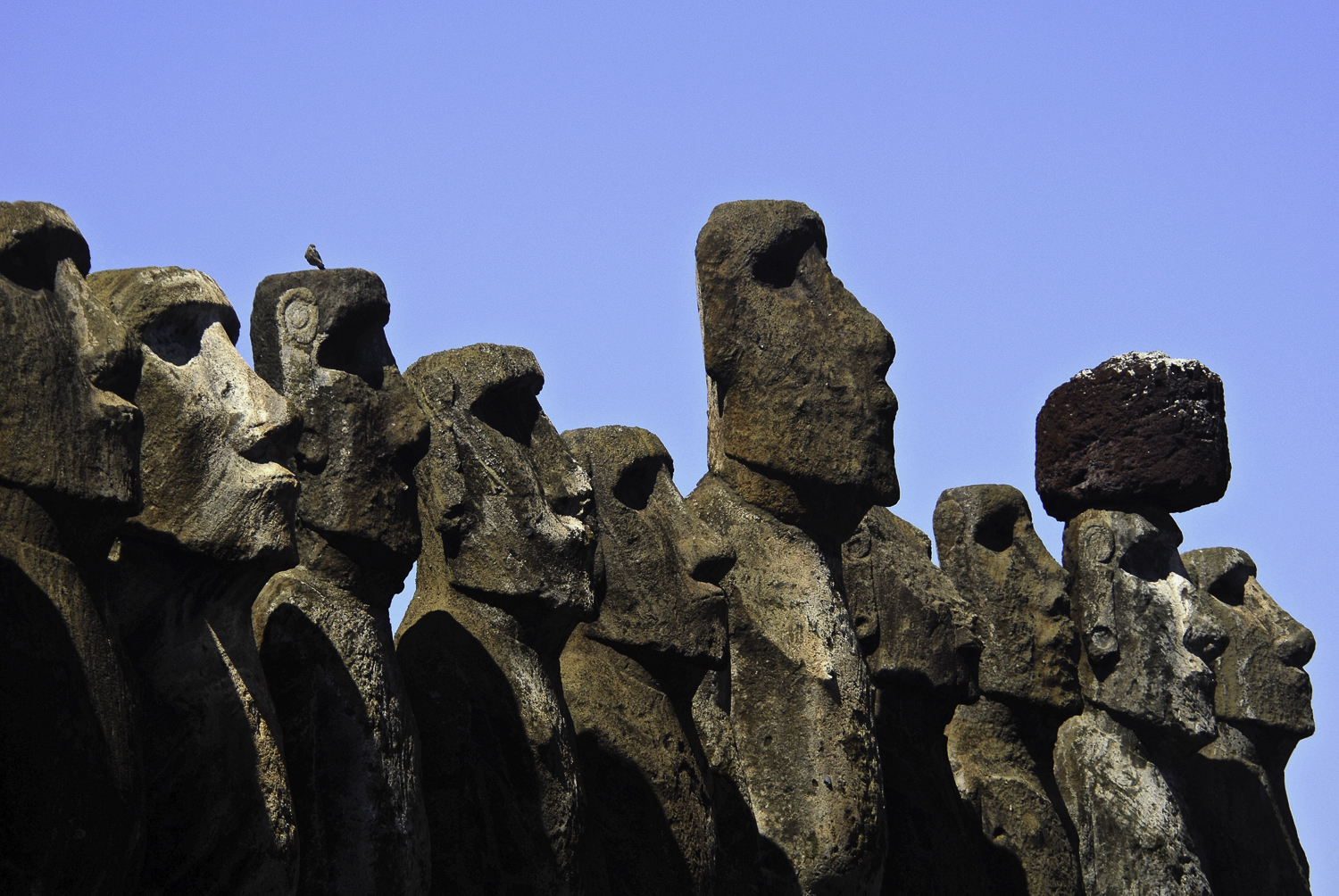 ePostcard #27: Rapa Nui (Easter Island, Chile)