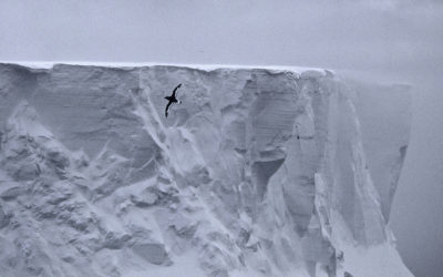 ePostcard #40: In the Footsteps of Douglas Mawson (Commonwealth Bay, East Antarctica, 2006)