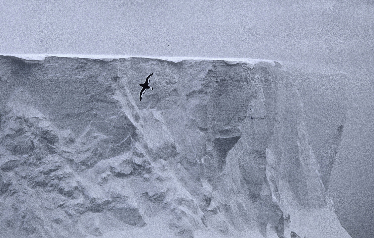 ePostcard #40: In the Footsteps of Douglas Mawson (Commonwealth Bay, East Antarctica, 2006)