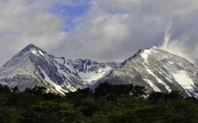 ePostcard #101: Exploring Magellanic Temperate Rainforests