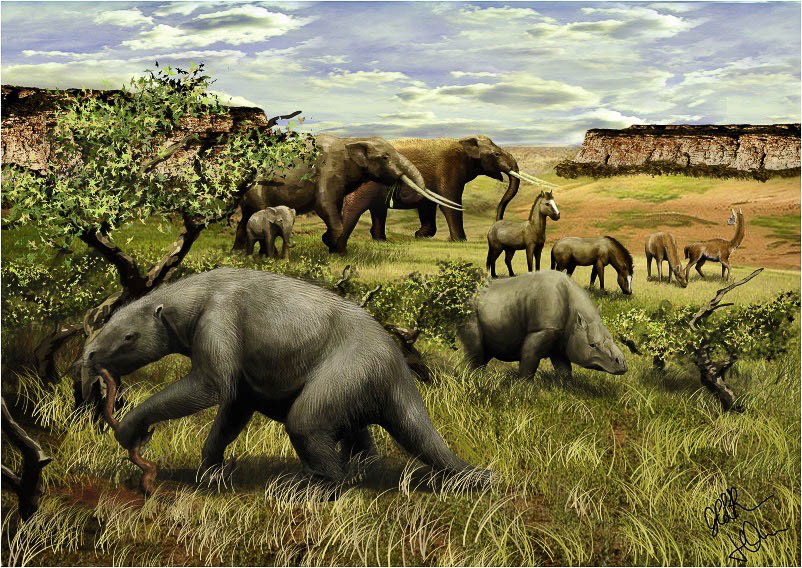 ePostcard #150: Darwin's Megafauna | Cloud Ridge Naturalists & Cloud Ridge  Publishing