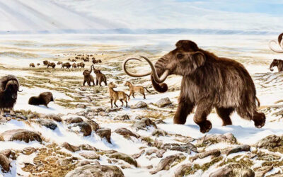 ePostcard #159: Beringia Revealed