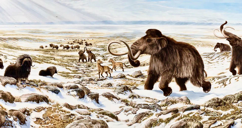 ePostcard #159: Beringia Revealed
