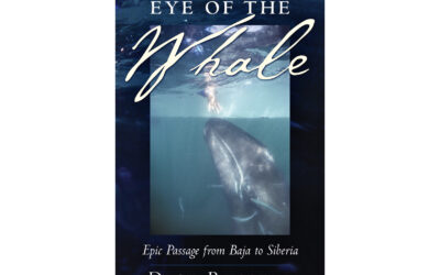 ePostcard #167: A Naturalist’s Bookshelf (Eye of the Whale)