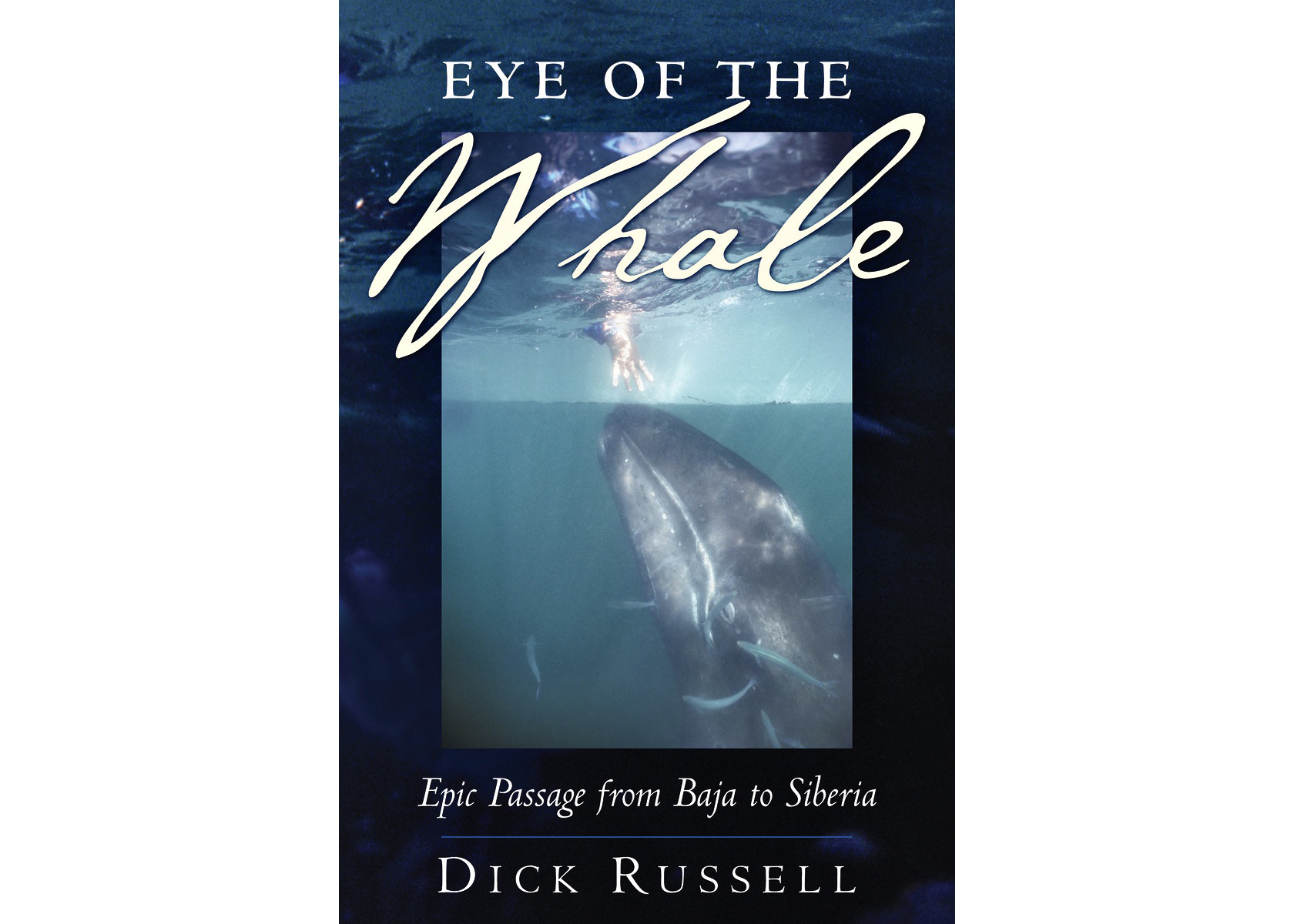 ePostcard #167: A Naturalist’s Bookshelf (Eye of the Whale)